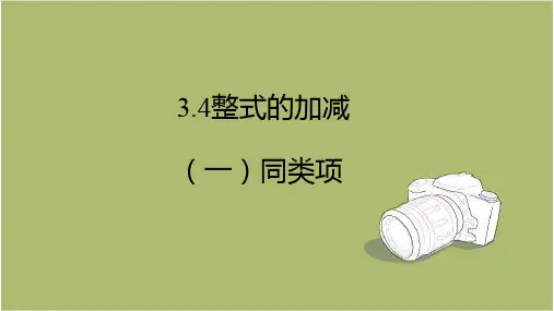 七年级上册数学教用课件3.4整式的加减(一)同类项 课件