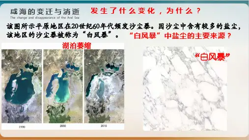 高考地理二轮复习PPT课件中亚、西亚的生态环境问题及资源开发