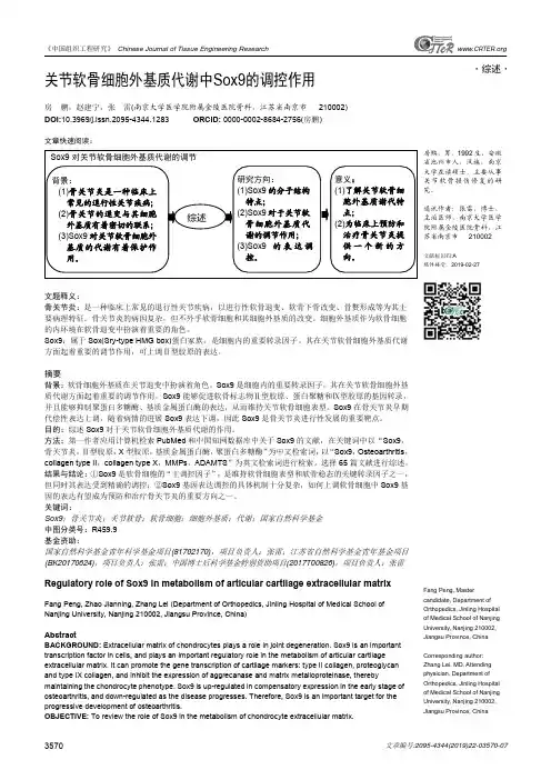 关节软骨细胞外基质代谢中Sox9的调控作用