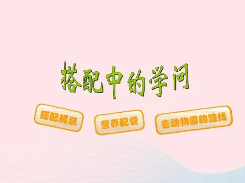三年级数学上册数学好玩搭配中的学问课件3北师大版