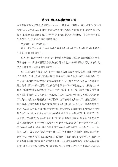 曹文轩野风车读后感5篇