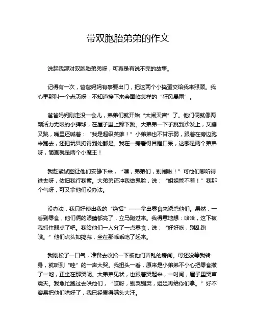 带双胞胎弟弟的作文