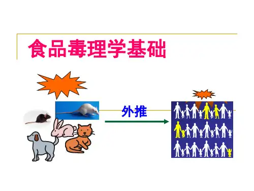 食品毒理学基础教学课件PPT