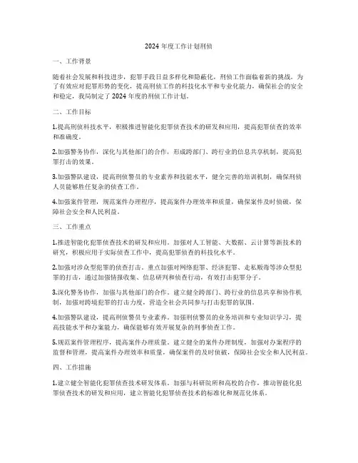 2024年度工作计划刑侦