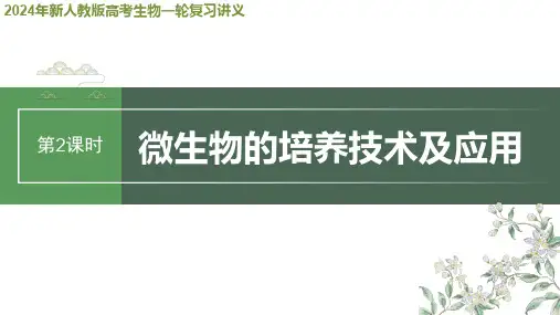 2024年新人教版高考生物一轮复习讲义  第10单元 第2课时 微生物的培养技术及应用