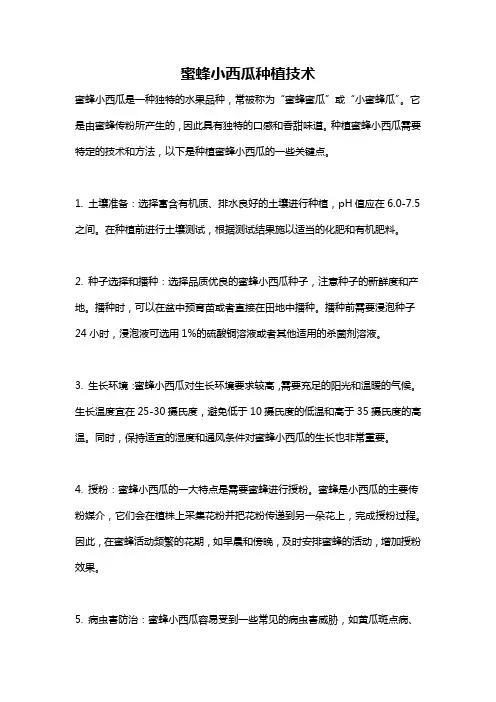 蜜蜂小西瓜种植技术
