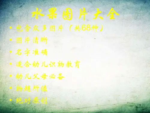 宝宝学认识水果卡片 