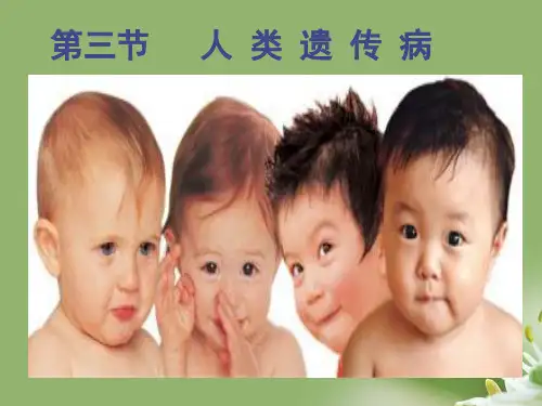 人类遗传病ppt14 人教课标版精选教学PPT课件