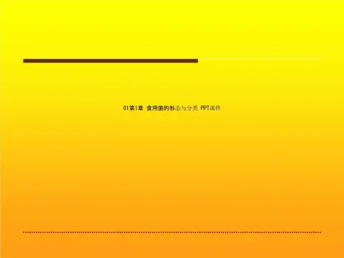01第1章 食用菌的形态与分类 PPT课件