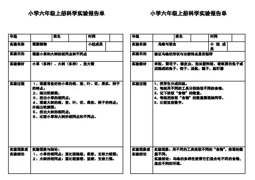 教科版小学科学六年级上册实验报告单