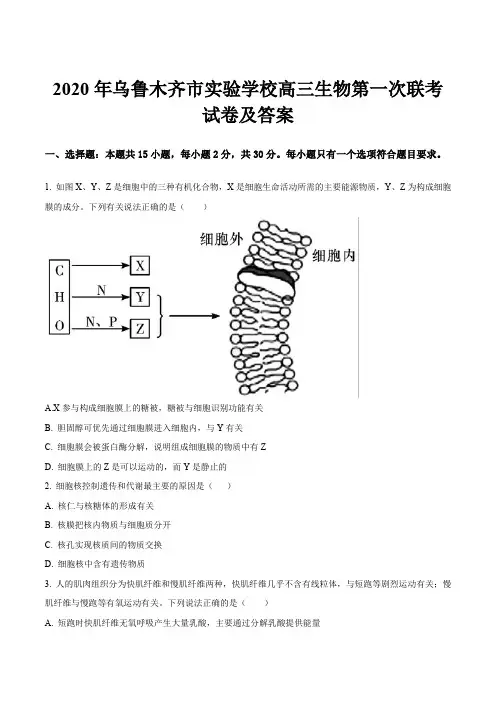 2020年乌鲁木齐市实验学校高三生物第一次联考试卷及答案