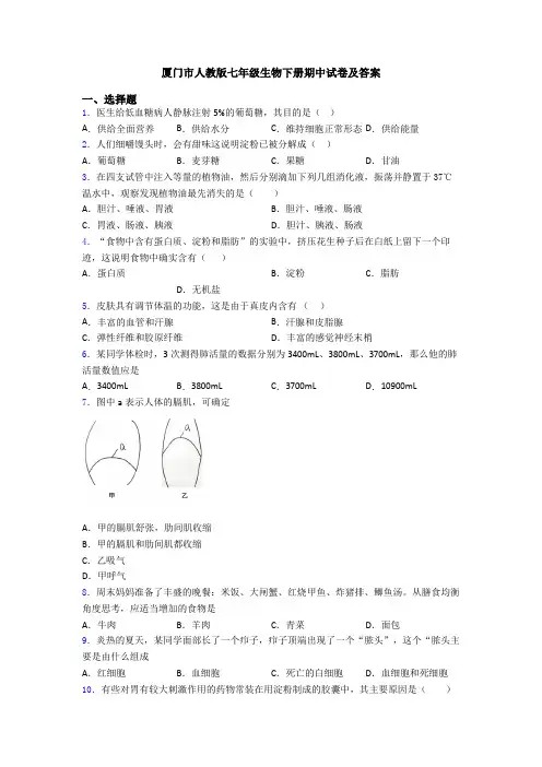 厦门市人教版七年级生物下册期中试卷及答案