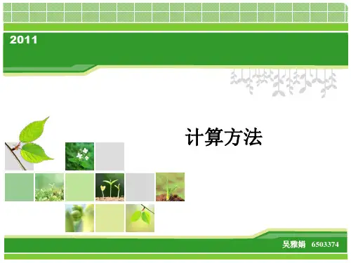 计算方法2011-1
