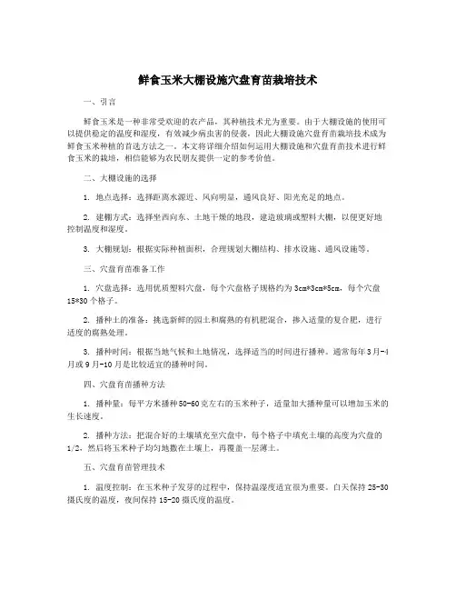 鲜食玉米大棚设施穴盘育苗栽培技术