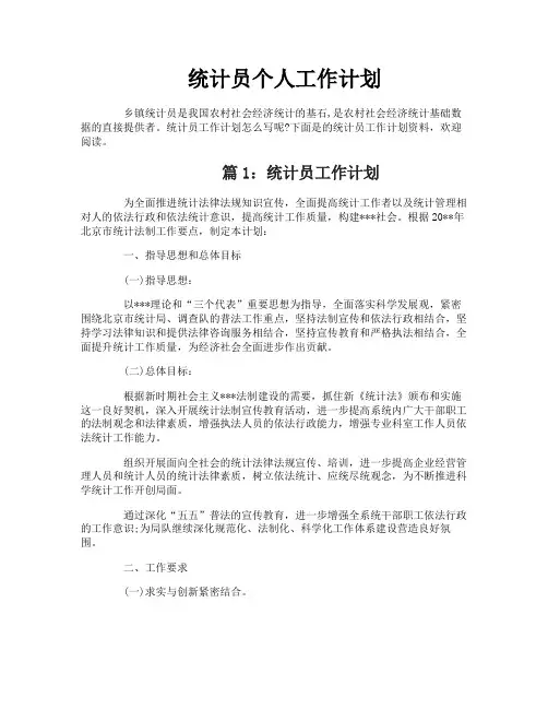 统计员个人工作计划