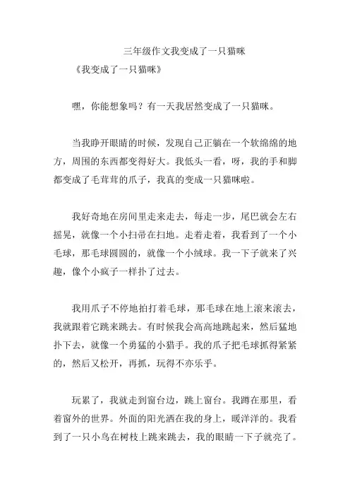 三年级作文我变成了一只猫咪
