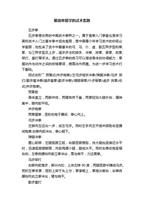 最简单易学的武术套路
