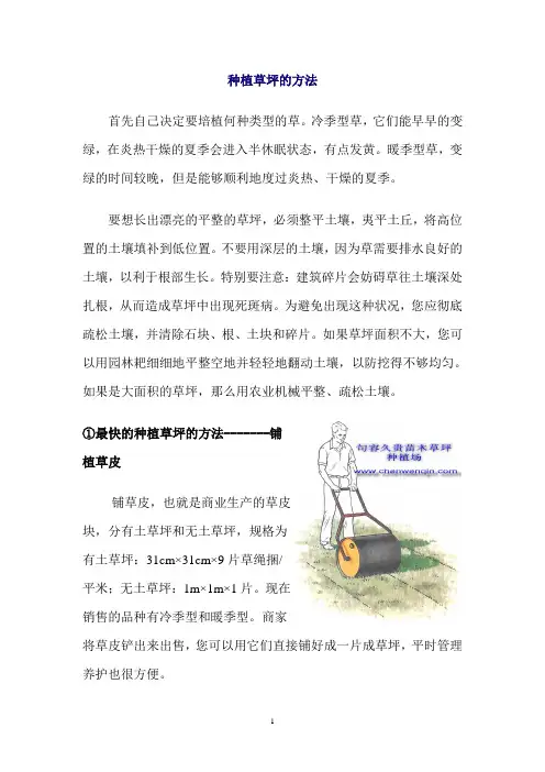 草坪种植方法