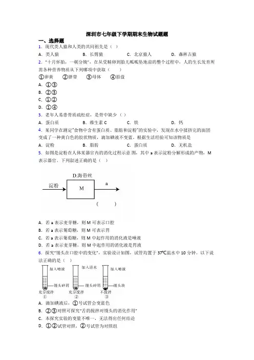 深圳市七年级下学期期末生物试题题