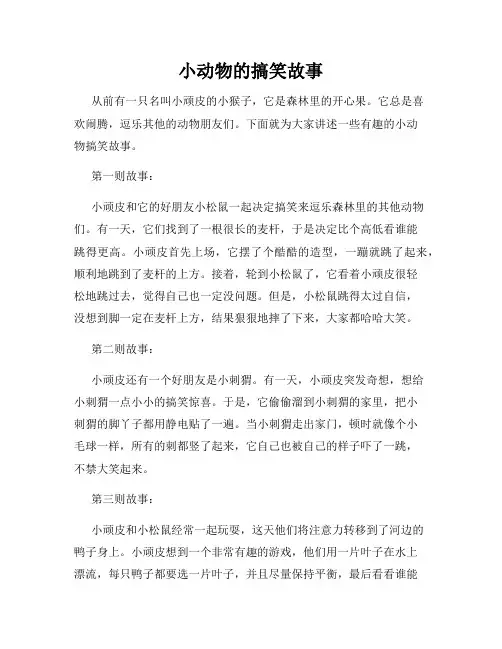 小动物的搞笑故事
