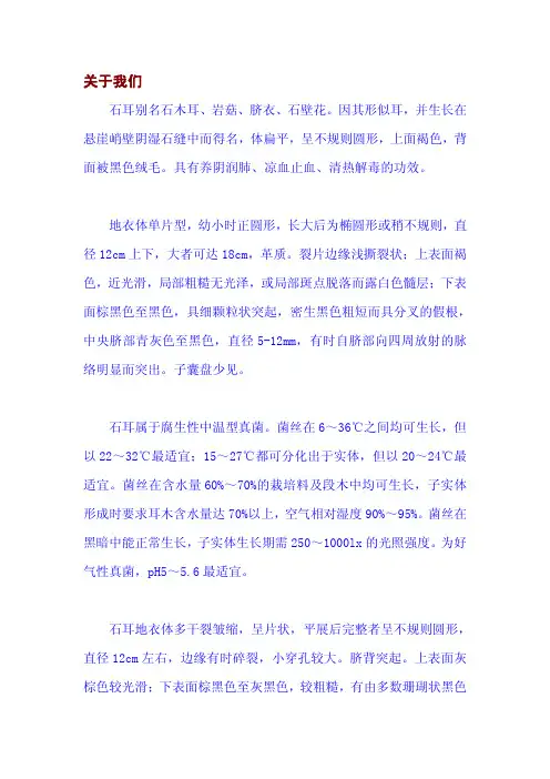关于我们