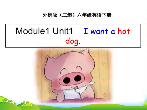 外研版(三起)六下英语：M1U1 I want a hot dog 课件(1)