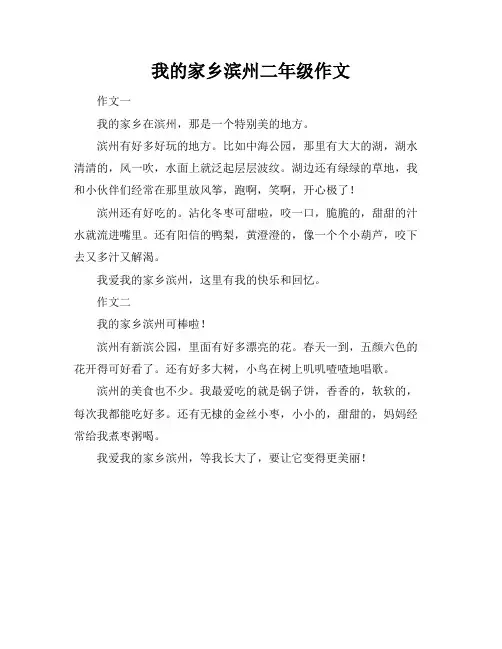 我的家乡滨州二年级作文