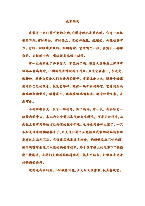 小学生作文《我家小狗》
