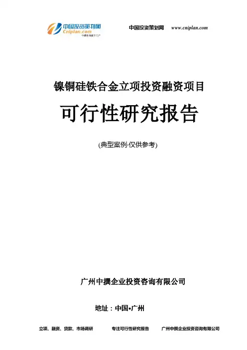 镍铜硅铁合金融资投资立项项目可行性研究报告(中撰咨询)