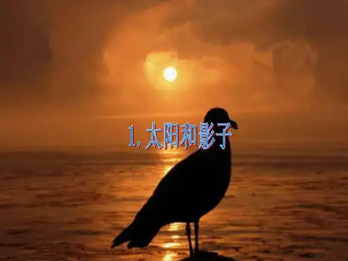 科学苏教版五年级上册 1.太阳和影子课件
