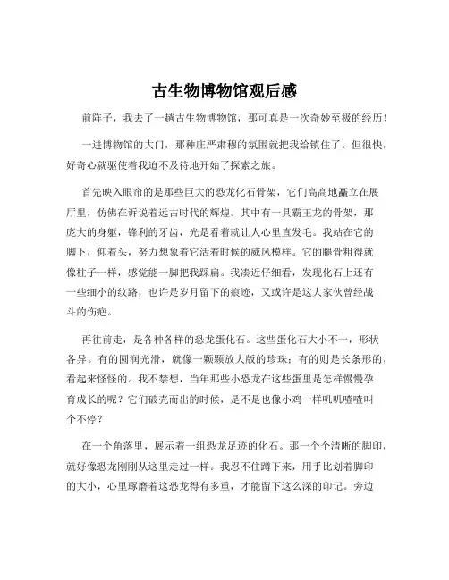 古生物博物馆观后感