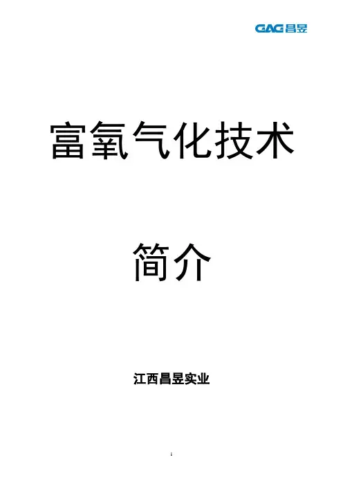 富氧气化简介090612