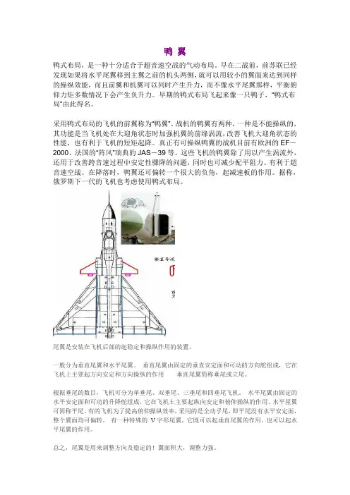 鸭 翼