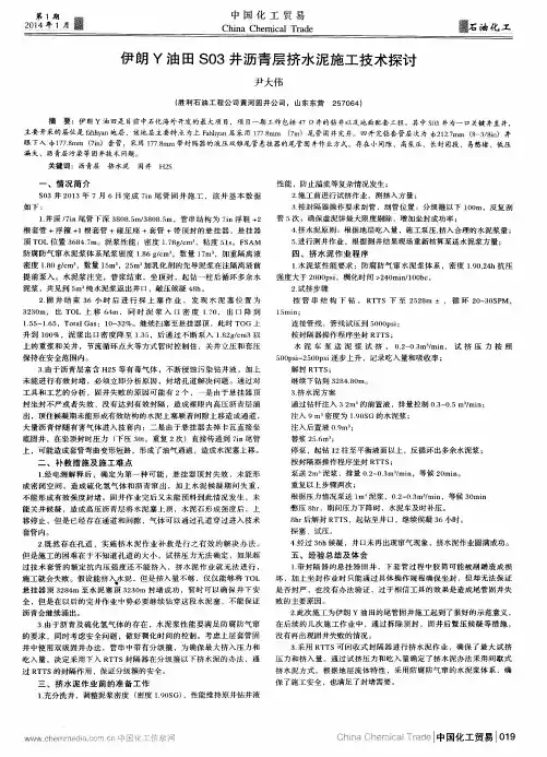 伊朗Y油田S03井沥青层挤水泥施工技术探讨