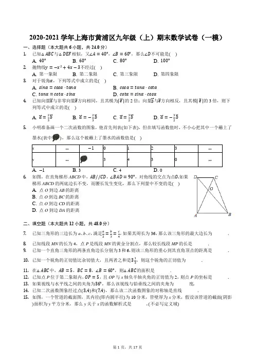 2020-2021学年上海市黄浦区九年级(上)期末数学试卷(一模)