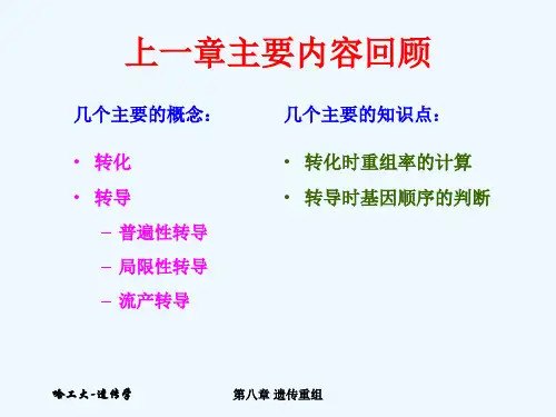 遗传重组之同源重组(PPT56张)