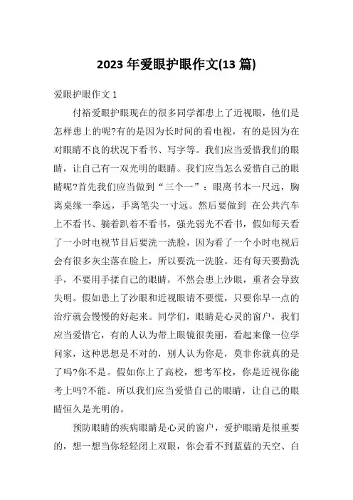 2023年爱眼护眼作文(13篇)