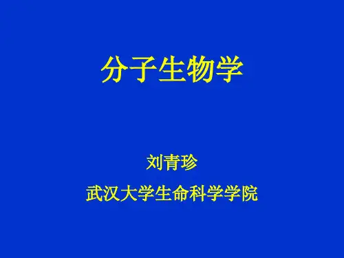 分子生物学-武汉大学