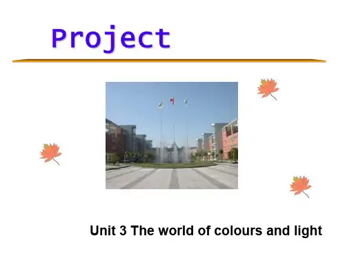 The-world-of-colours-and-light课件2