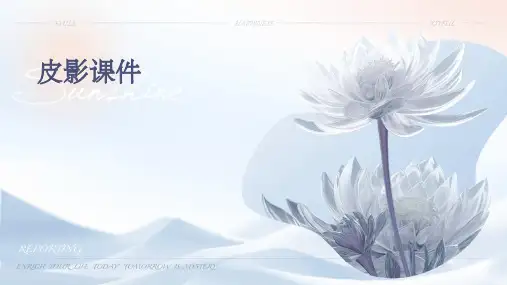 有关皮影课件PPT