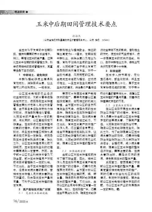 玉米中后期田间管理技术要点