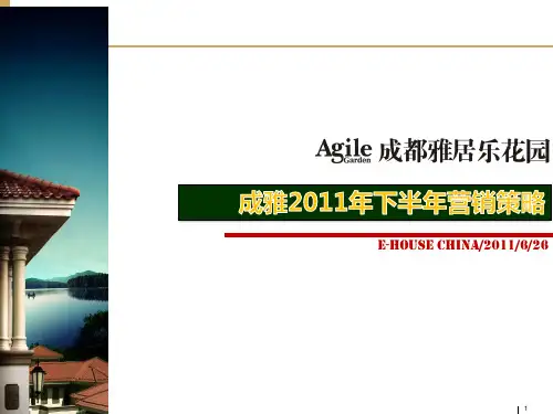 雅居乐花园下半年营销策略(最终)