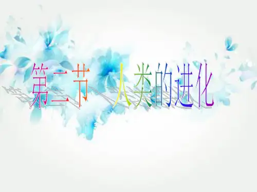 人类的进化PPT教学课件
