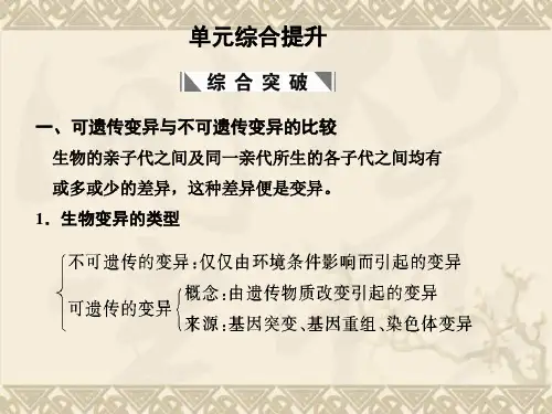 高考生物一轮复习 第四章 单元综合提升 生物的变异与育种课件 苏教版必修2