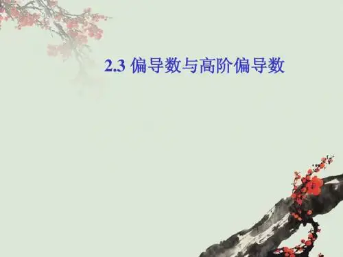 2.3偏导数