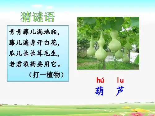 部编版语文二年级上册第14课《我要的是葫芦  》公开课PPT课件