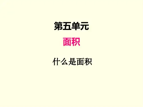 三年级下册数学课件(北师版)什么是面积
