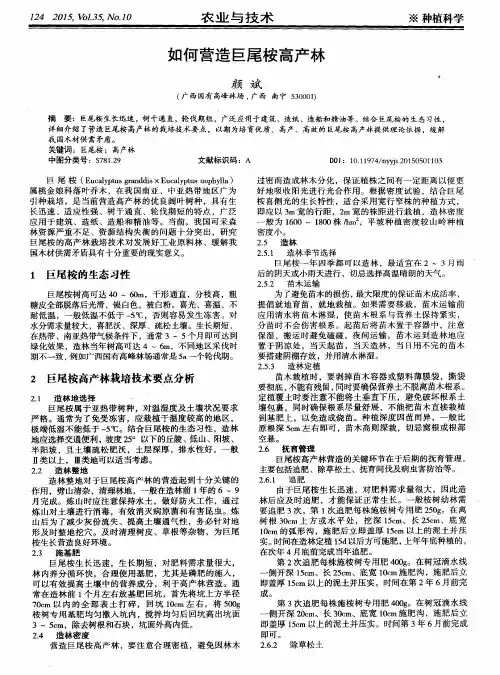 如何营造巨尾桉高产林
