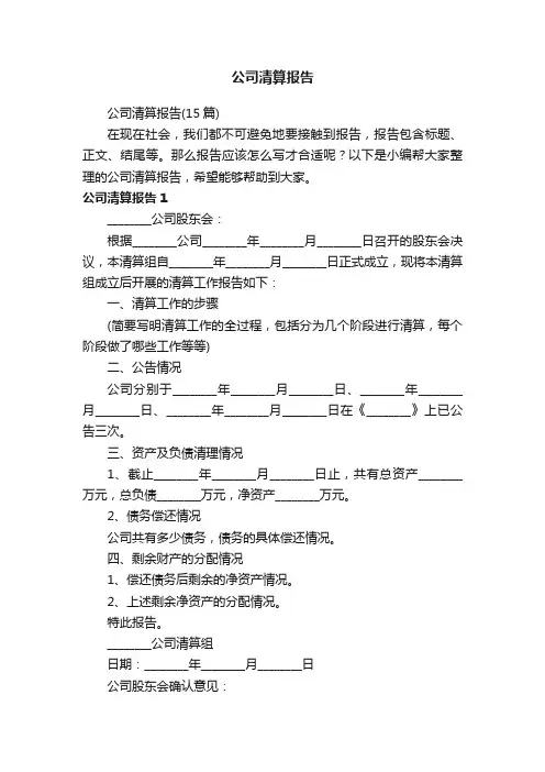 公司清算报告