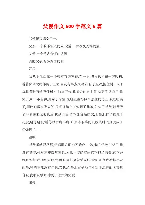 父爱作文500字范文5篇